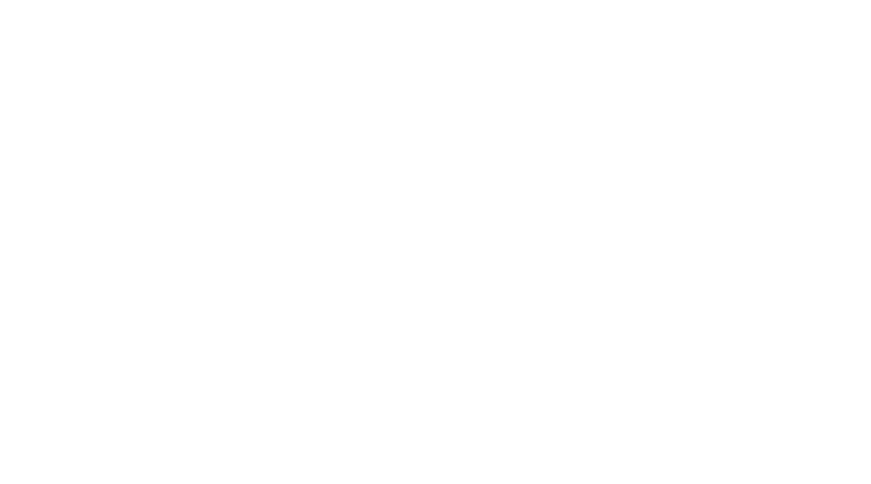 peplink logo white