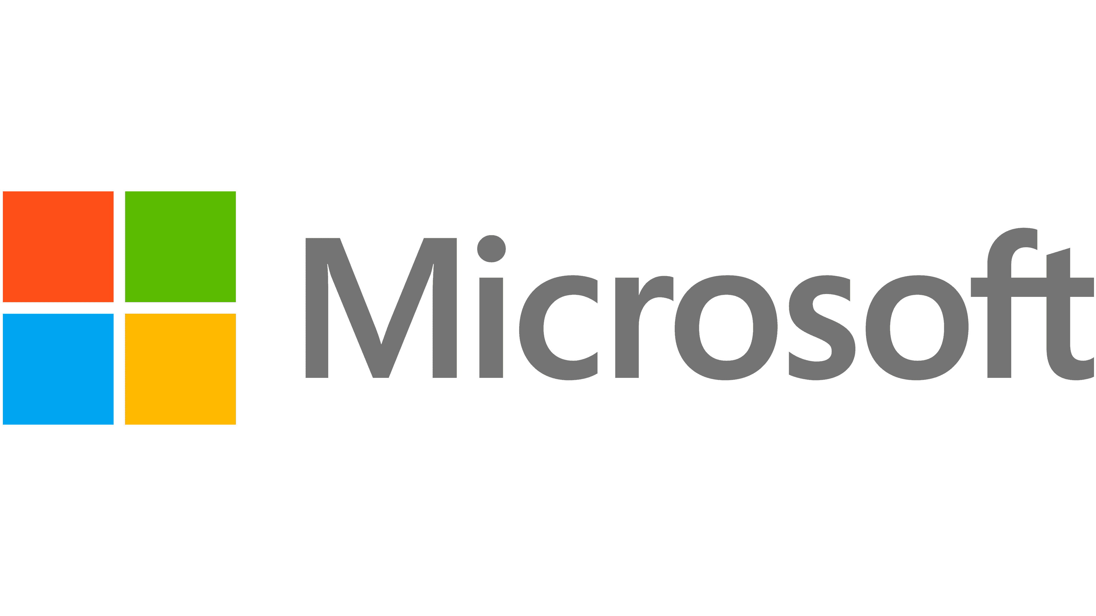 Microsoft Partner Logo
